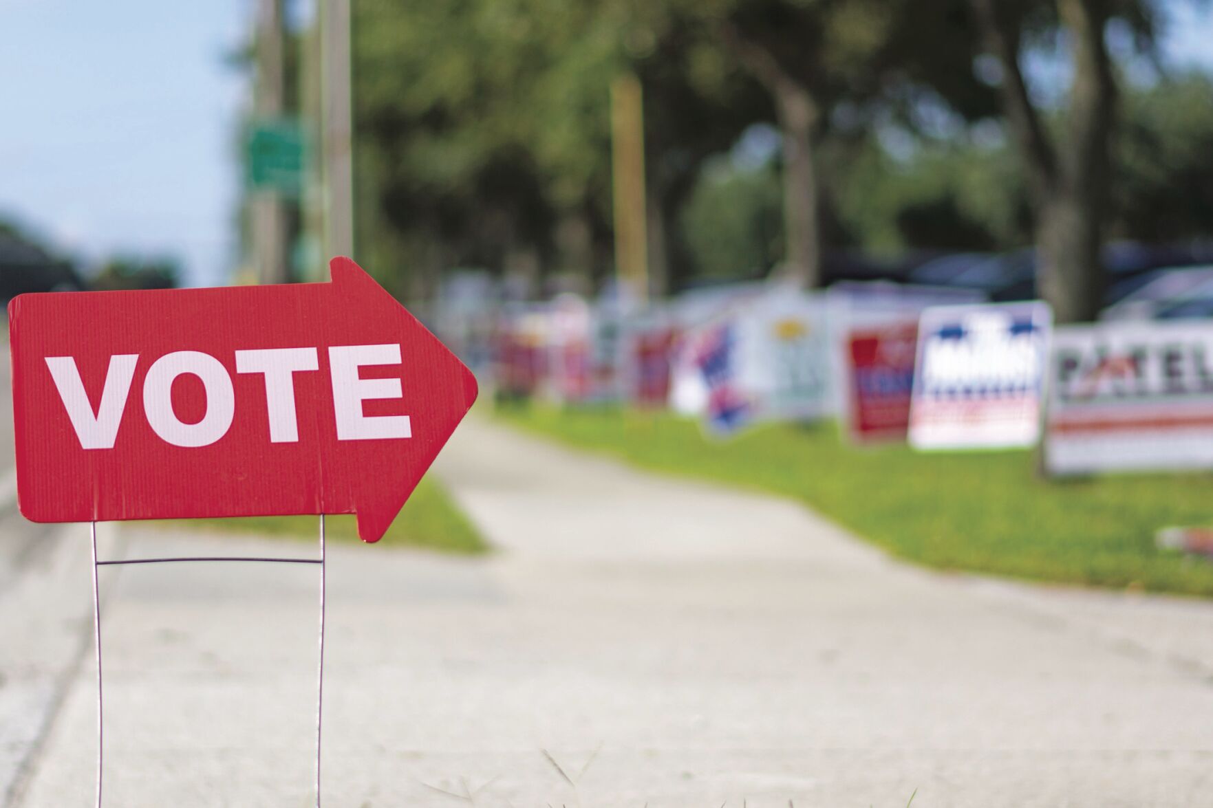 Vote sign